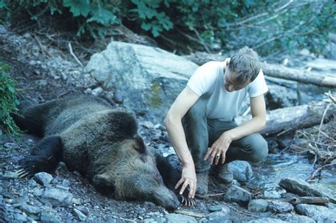 true story   fatal grizzly bear attacks  changed