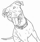 Pitbull Coloring Pages Drawing Puppies Baby Cute Dog Printable Book Staffy Dogs Clipart Puppy Clip Realistic Pit Bull Coloringhome Getdrawings sketch template