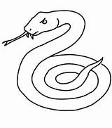 Serpent Serpiente Mamba Snakes Ular Sketsa Colorier Reptile Designlooter Coloringme Clefs Coloringfolder sketch template