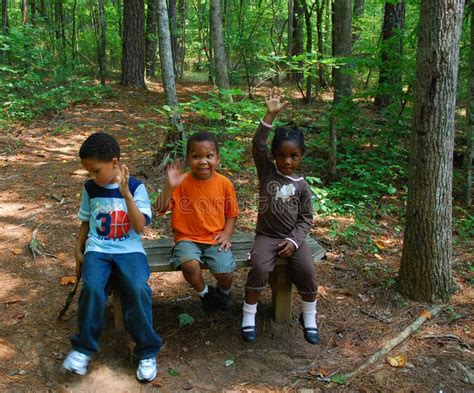 field trip stock image image  outdoors child trees