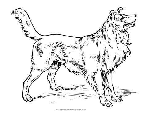 coloring pages  dogs  puppies