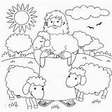 Shepherd Coloring Good Sheep 2603 Divyajanani sketch template