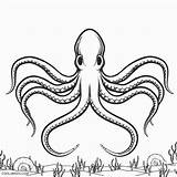 Coloring Octopus Pages Kids Printable Drawing Color Getdrawings Cool2bkids Print Pencil Drawings Everfreecoloring Baby sketch template
