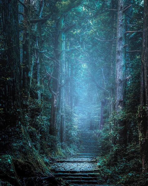 For Centuries Pilgrims Have Walked The Kumano Trails Crossing The