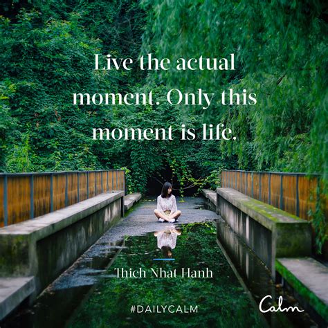 daily calm quotes   actual moment   moment  life