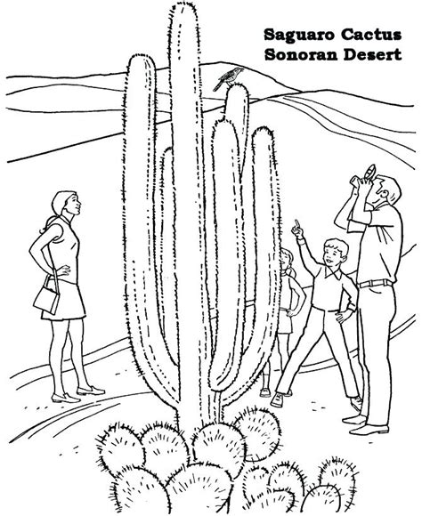 desert drawing  kids  getdrawings