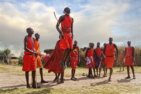 masai warriors competing   jumping contest masai mara kenya african tribes african