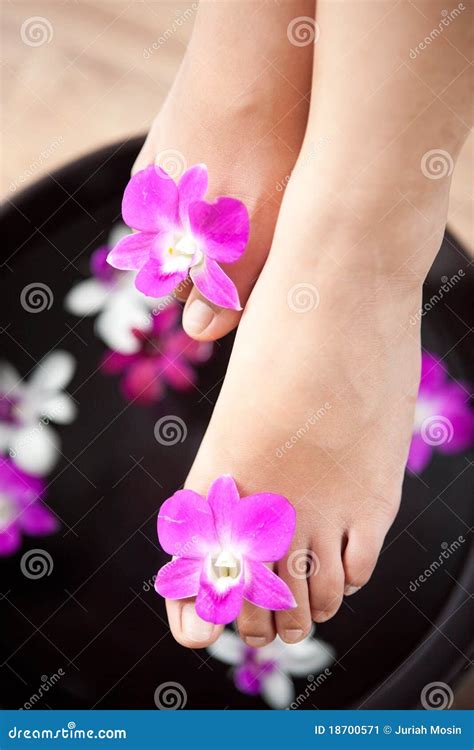 feet  orchid spa bowl stock image image  light color