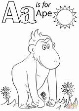 Coloring Ape Letter Pages Printable Alphabet Preschool Letters Crafts Kids Worksheets Visit Drawing Supercoloring sketch template