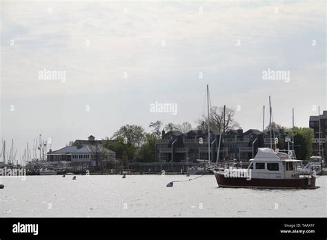 boats  spa creek viewed   ego alley annapolis md usa stock