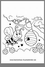 Biene Ausmalbilder Steckbrief Ausmalen Bienen Apiculteur Tiere Kostenlose Kinder Bijen sketch template