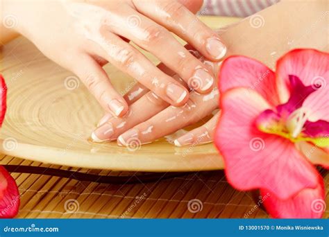 young woman hands  spa treatment stock photo image  color clean
