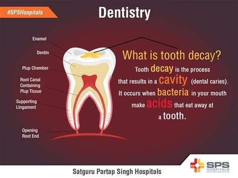 Sps Hospitals India Spshospital Twitter What Is Tooth