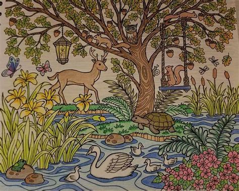 colorit blissful scenes colorist sally  lawrence adultcoloring