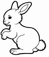 Coloring Pages Bunny Rabbit Spring Colouring Hutch Rabbids Bunnies Some Template Kids Choose Board Print sketch template