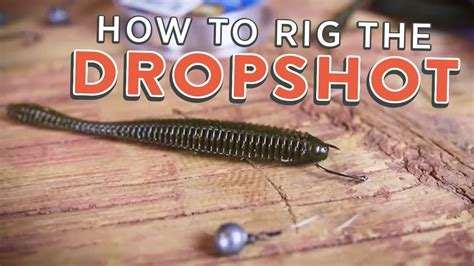 drop shot rig   rig  drop shot tutorial clipzuicom