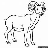 Ram Coloring Pages Animal Color Colouring Printable Thecolor Kids Animals Print Choose Board Online sketch template