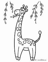 Jirafa Colorear Girafa Girafe Jirafas Hellokids Ausmalen Desenho Fofa Arbres Une Girafas Coloriages Pintarcolorir Girafes Moldes Patrones Preescolar Farben Azcoloriage sketch template