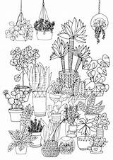 Pflanzen sketch template