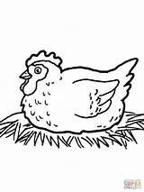 Coloring Chicken Cooked Getdrawings sketch template