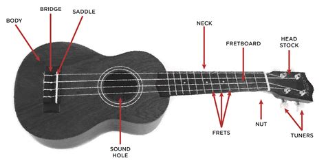 ukulele buyers guide