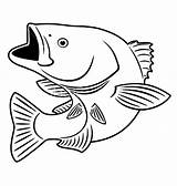 Fish Bass Coloring Pages Color Smallmouth Sniper Drawing Largemouth Mouth Fishing Drawings Print Tocolor Patterns Printable Clipart Coin Double Template sketch template