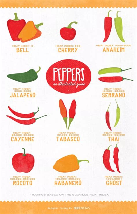 an easy guide to the types of peppers how to cook with each with