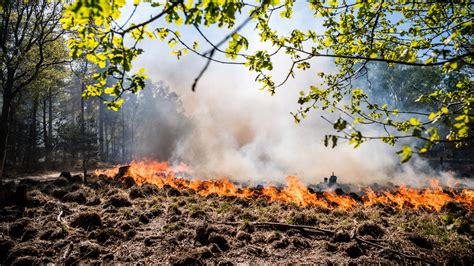 brandweer natuurbranden  nederland worden onbeheersbaar door klimaatverandering nieuwsuur