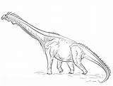 Jurassic Brachiosaurus Dinosaur Spinosaurus Einzigartig Frisch Dinosaurs Entitlementtrap sketch template