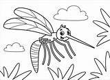 Mosquito Insetos Mosquitos sketch template