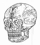 Coloring Pages Skull Printable Adult Sugar Skulls Sheets Popular Drawing Library Clipart Colouring Coloringhome sketch template