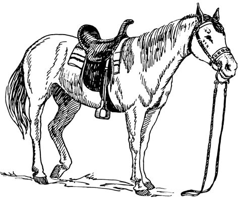 horse coloring pages  coloring pages  print