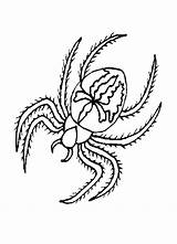Spider Coloring Pages Halloween Kleurplaat Printable Spin Kids Colouring Kleurplaten Spinnen Color Tattoo Printables Nl Anansi Van Clipart Animal Spiders sketch template