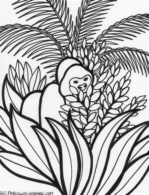rainforest animal coloring pages animal coloring pages rainforest