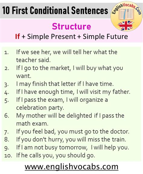 conditional sentences examples  clauses type  english