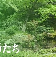 京都 一流 庭師 造園 に対する画像結果.サイズ: 182 x 144。ソース: kyotomag.com