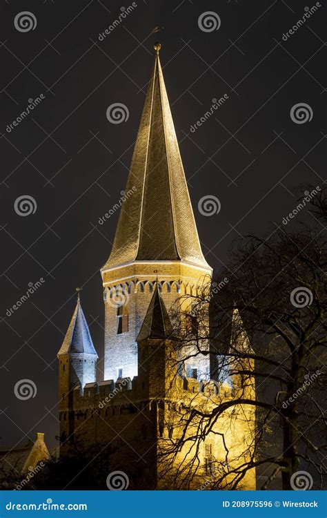 sharp pointy dragon scale rooftop  historic medieval building stock photo image