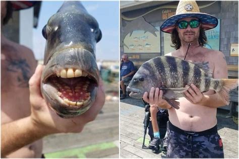 man catches fish  human  teeth people  freaked