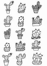Kakteen Zeichnungen Kaktus Malvorlagen Tiere Kugelschreiber Basteln Zeichen Sketchnotes Zeichnung Besuchen sketch template