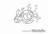 Tartaruga Marinha sketch template