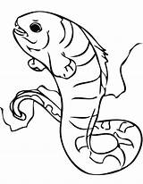 Eel Coloring Electric Pages Moray Wolf Getcolorings Color Getdrawings sketch template