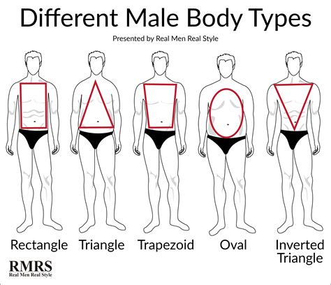 ground rules  dressing   body type mens body types types