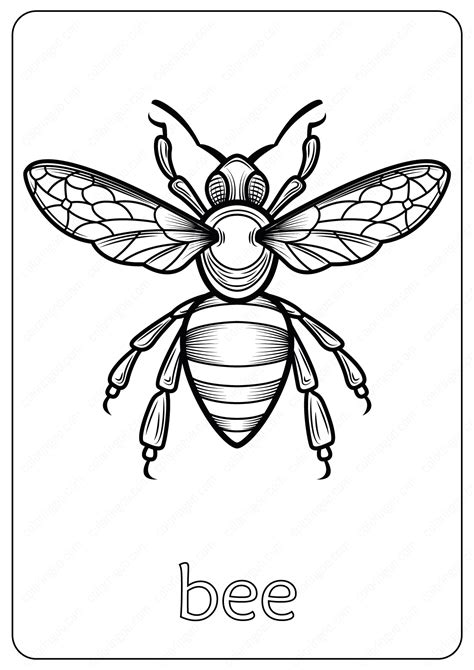 animals bee coloring pages book