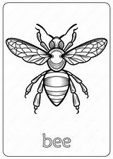 Bee Coloring Pages Adults Book Animals sketch template