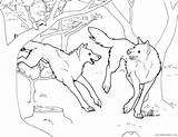Wolf Coloring4free sketch template