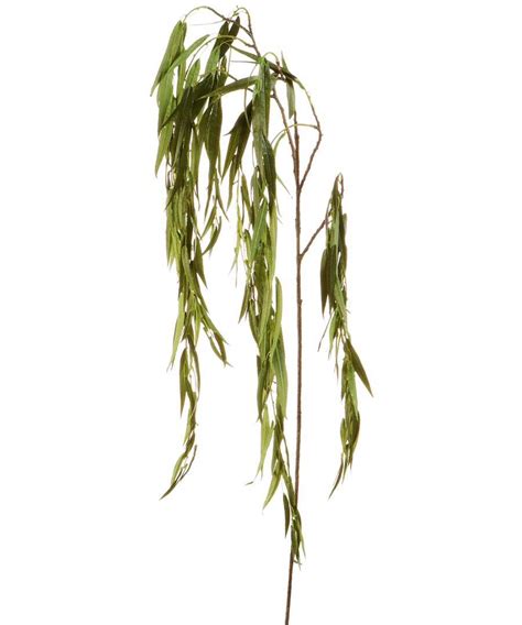 discount  weeping willow branches  green secretsales
