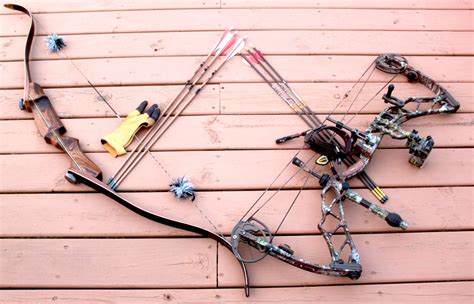 recurve  compound bow find   hunting tool field stream