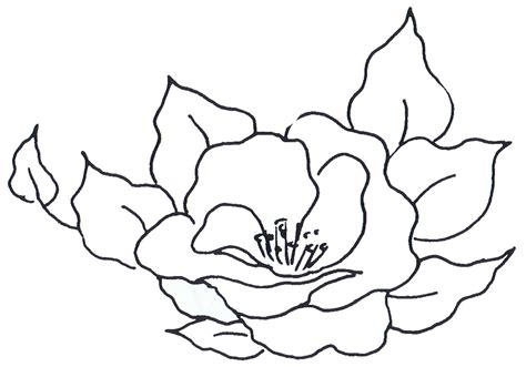 images  roses  printable rose outline coloring page