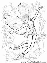 Coloring Pages Fairy Fantasy Adults Mermaid Enchanted Mcfaddell Phee Fairies Adult Morning Glory Drawings Color Mermaids Line Kids Books Woodland sketch template