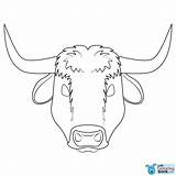 Ox Coloring sketch template
